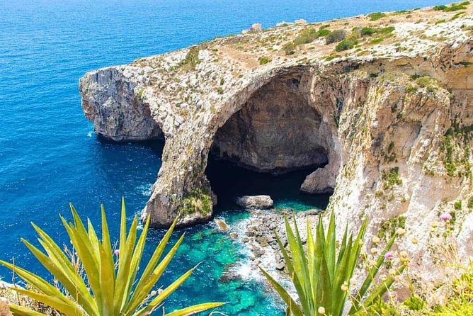 The Malta Experience Private Tour - Discover Malta - Verdala Palace gardens: the island’s unusual wooded stop