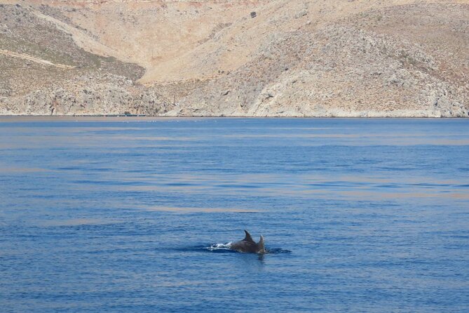 The Santa Maria 3 Island Cruise in the Aegean w/ Free Audio Guide - A Day Off Kos With Three Island Changes