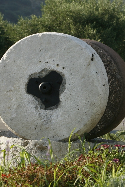 The Terra Creta Olive Oil Experience Tour - Should you book Terra Creta?