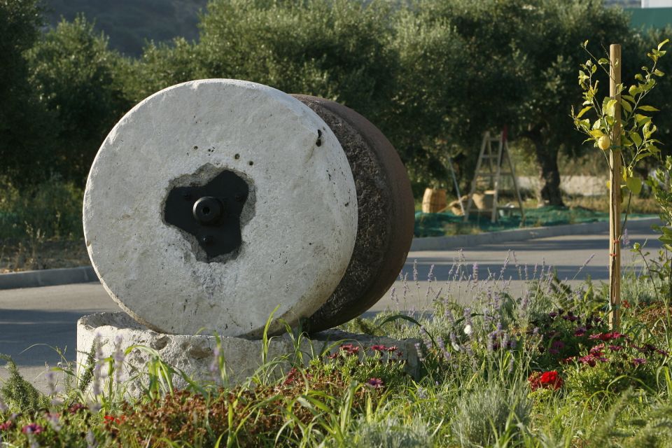 The Terra Creta Olive Oil Experience Tour - Terra Creta in Kolymvari: Why a 1-Hour Olive Oil Tour Works