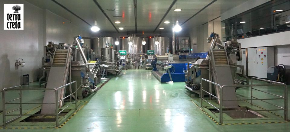 The Terra Creta Olive Oil Experience Tour - Snacks, Wi‑Fi, and the food pairing that keeps things easy
