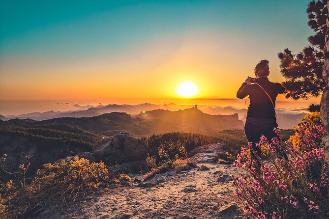 The Volcano Heart Tour: Hiking, Tasting and Sunset Experience - Mirador Pico de Bandama: the first “wow” and the geology lesson