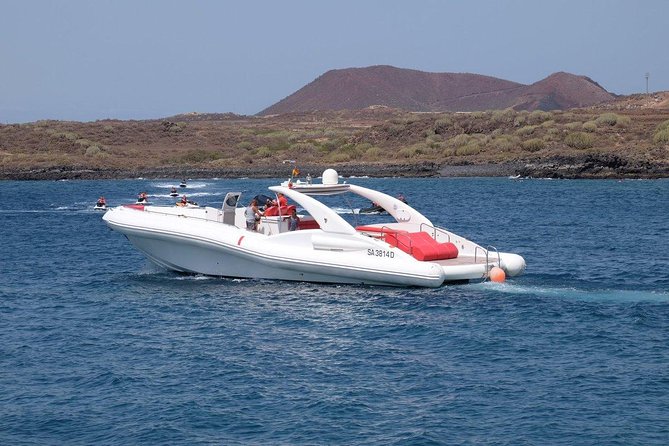 The Worlds Largest RIB luxury 3hrs including lunch and drinks - Why this 3-hour Tenerife RIB tour fits real vacation time