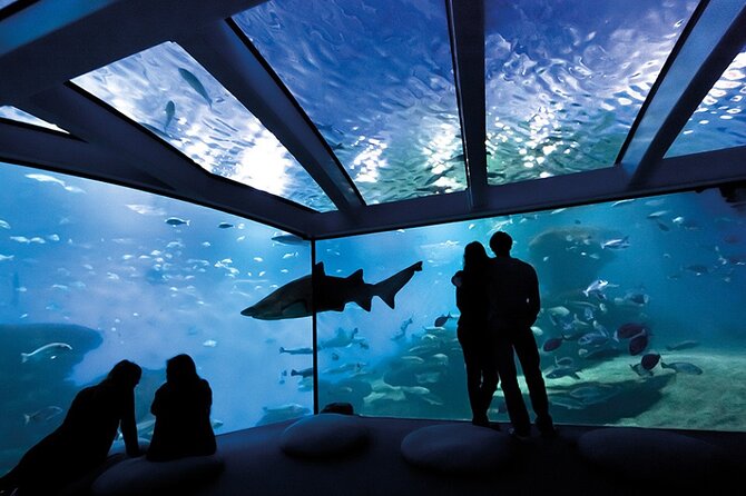 Ticket Palma Aquarium - Getting In Fast at Carrer de Manuela de los Herreros