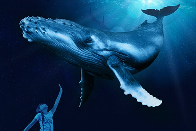 Ticket Palma Aquarium - Family-Friendly Extras on Hot Palma Days