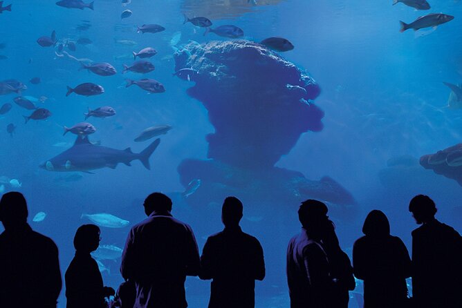Ticket Palma Aquarium - Price and Value: Is €36.55 Worth Your Time?
