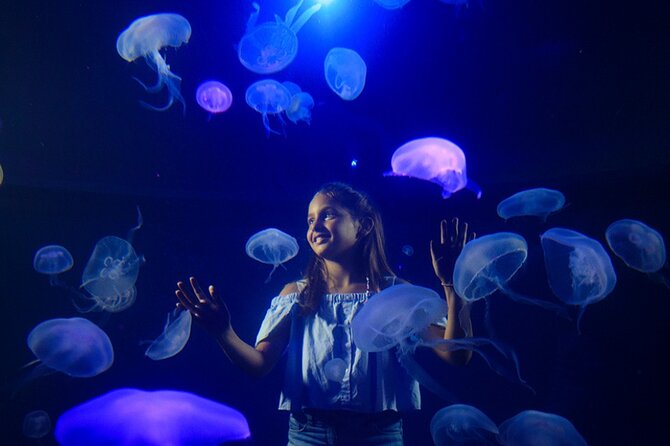 Ticket Palma Aquarium - Should You Book Palma Aquarium?