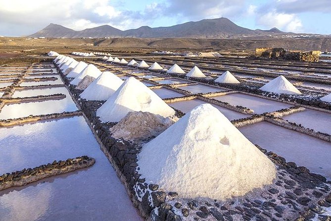Timanfaya, Golfo, Jameos Agua & Camel Ride (opt) - Lanzarote - Camel Shed (optional): deciding if you want the extra € moment