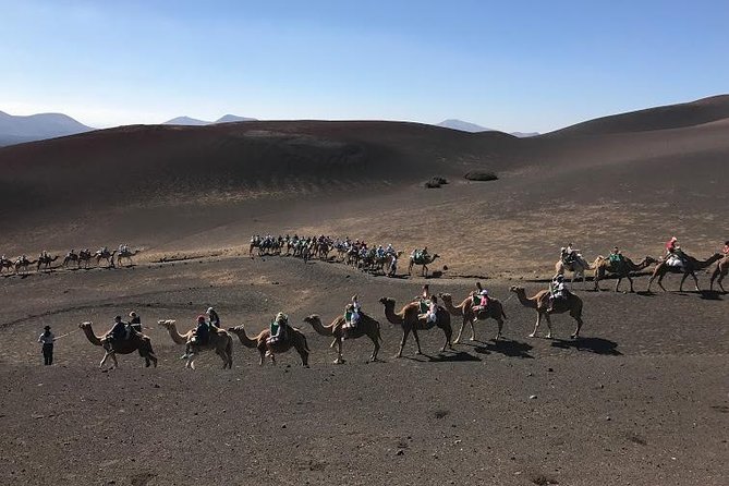 Timanfaya & Lanzarote Volcano Experience - From your hotel door to Timanfaya: why the minibus matters