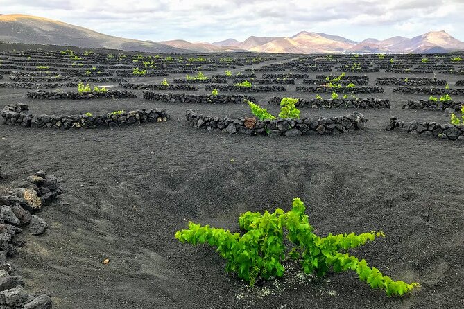 Timanfaya & Lanzarote Volcano Experience - El Golfo’s green lagoon (Lago Verde): where the sea and volcano meet