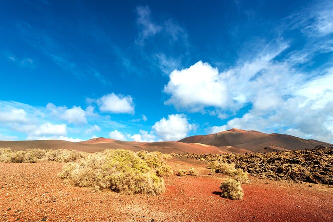Timanfaya & Lanzarote Volcano Experience - Price and value: does $157.28 make sense for what you get?