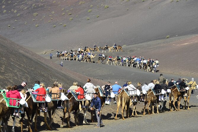 Timanfaya Park & Camel Ride (extra cost) - Short South Tour - Photos and extra purchases: Plan for small costs