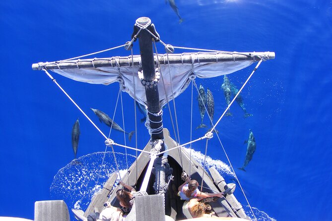 Time Travel on Columbus Replica Flag Ship in Madeira - How long it takes, where it fits, and who it suits best