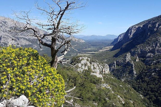 Tiscali mount guided hike - Views over the Lanaitto valley and Mount Corrasi range