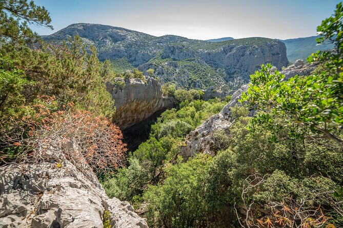Tiscali mount guided hike - Price and value: does $78.44 add up in real terms?