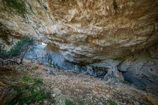 Tiscali mount guided hike - The 6-kilometer hike: woods, charcoal paths, and the karst rhythm