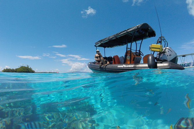 Tohora Bora Bora Snorkeling Lagoon Tours - Tohora Bora Bora: What makes this snorkeling outing feel different