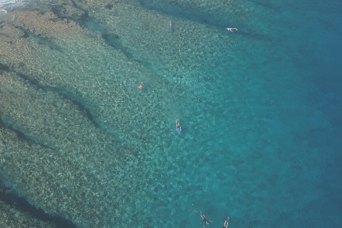 Tohora Bora Bora Snorkeling Lagoon Tours - The itinerary in practice: lagoon stops, ray chances, and coral time