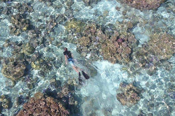Tohora Bora Bora Snorkeling Lagoon Tours - Snorkeling gear, safety, and help for beginners