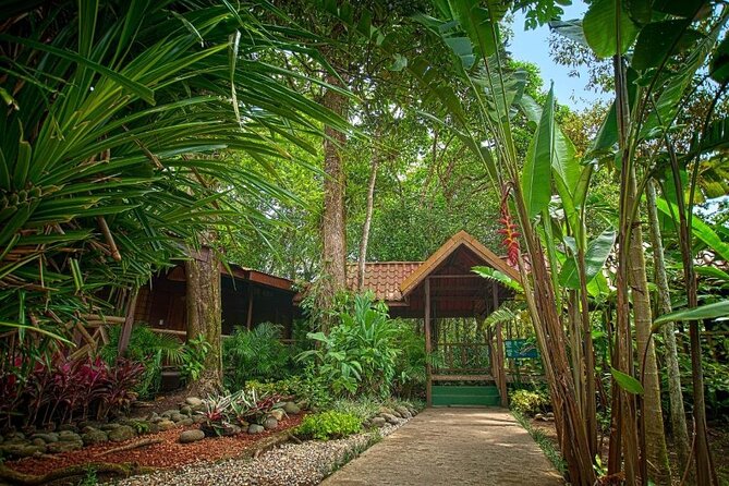 Tortuguero : All Inclusive Package 2 Nights 3 Days from San Jose - Price and Logistics: Is $478.95 Worth It?