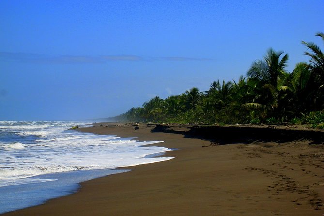 Tortuguero National Park and Canals Day Trip from San Jose - Coffee country and Braulio Carrillo cloud forest stops on the drive