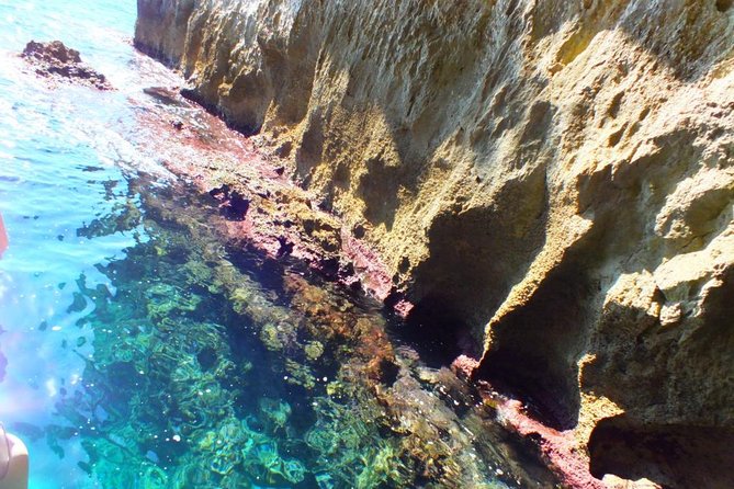 Tour of the island of Ortigia and exploration of sea caves with baths. - Price and value: why about $24 feels fair here