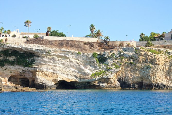 Tour of the island of Ortigia and exploration of sea caves with baths. - Who should book this tour, and who might skip it