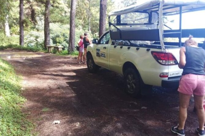 TOUR Safari 4X4 - Price and Value: Is $54.58 a Fair Deal?
