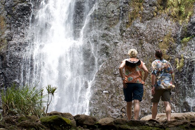 Tour Tahiti in Private - Price, group size, and what you’re actually paying for