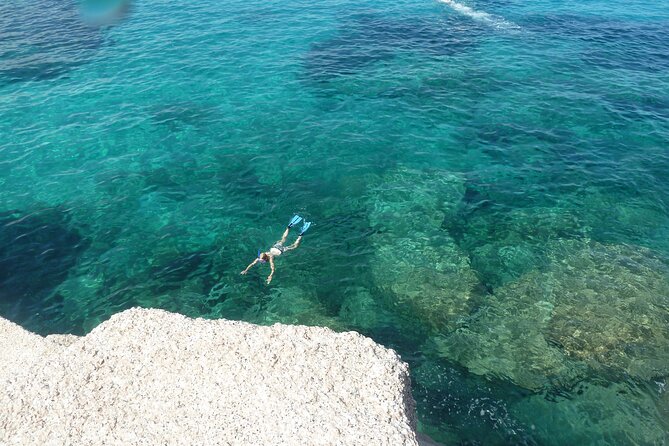 Tour to Figarolo Island with the possibility to observe dolphins - Dolphins, Snorkel, and Figarolo: What This Boat Trip Is Really Like