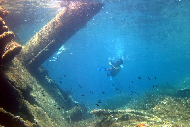 Tour to Figarolo Island with the possibility to observe dolphins - Figarolo Island Swim Stop: Masks, Snorkels, and Clear-Water Fun