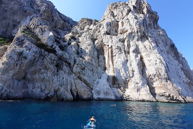 Tour to Figarolo Island with the possibility to observe dolphins - Dolphin Watching With Respect: What It Means When Odds Are High