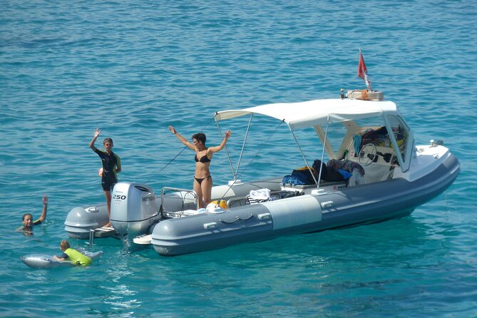 Tour to Figarolo Island with the possibility to observe dolphins - Guides, On-Board Comfort, and the Small Details That Make It Work