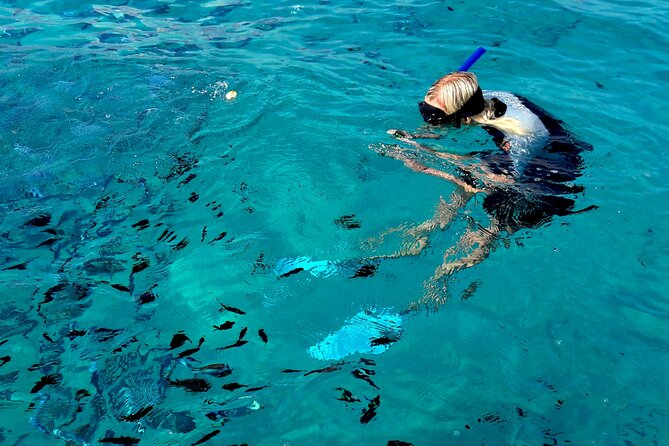 Tour to Figarolo Island with the possibility to observe dolphins - Timing, Group Size, and What to Pack for a Smooth Day