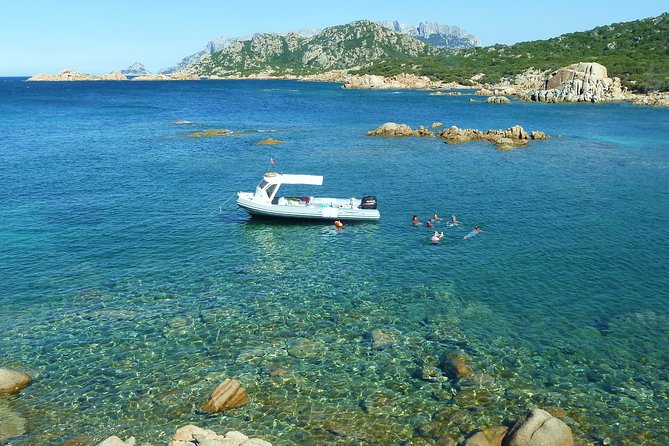 Tour to Figarolo Island with the possibility to observe dolphins - Price and Value: Is This $72.59 Worth It?