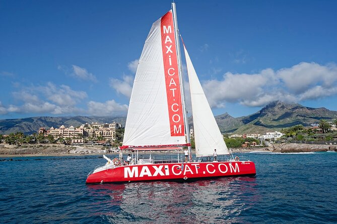 Tour with Whale and Dolphin Watching plus food included - Key things to know before you sail