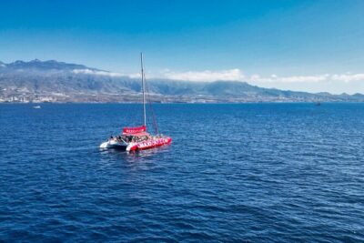 Tour with Whale and Dolphin Watching plus food included - Whale and dolphin watching: what to look for (and how the guide helps)