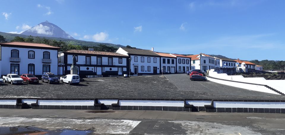 Tours on Pico Island - Cultural and Natural Landscape - Pico Island in One Day: How the Route Actually Feels