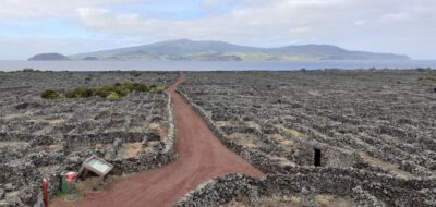 Tours on Pico Island - Cultural and Natural Landscape - Madalena, São Roque do Pico, and Lajes do Pico: The Village Loop That Tells a Story