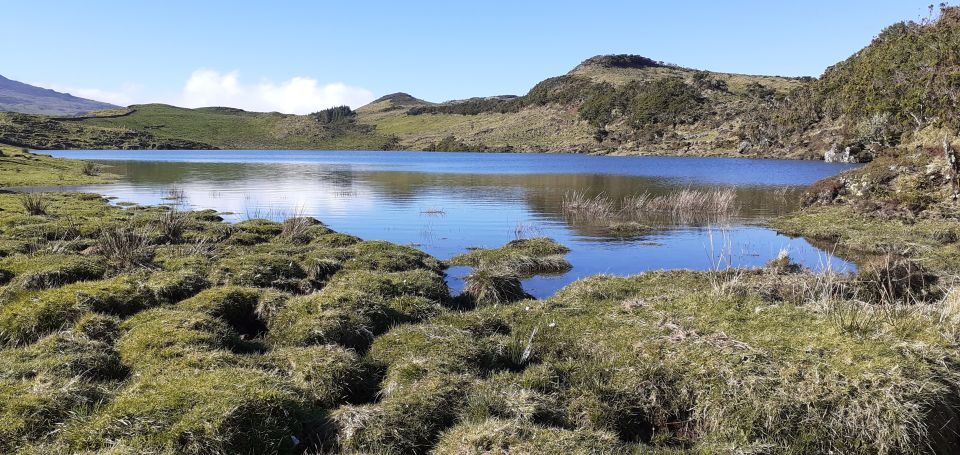 Tours on Pico Island - Cultural and Natural Landscape - UNESCO Vineyard Culture on Pico: How Wine Becomes a Geography Lesson