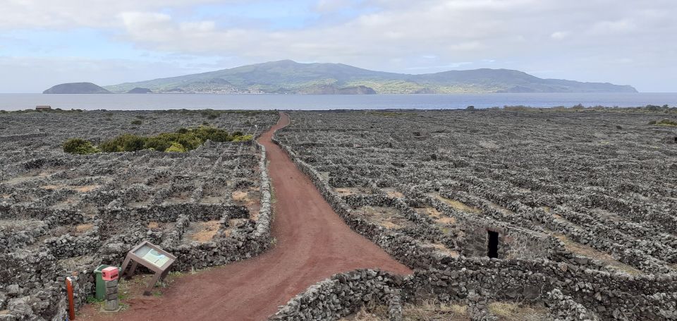 Tours on Pico Island - Cultural and Natural Landscape - Madalena, São Roque do Pico, and Lajes do Pico: The Village Loop That Tells a Story