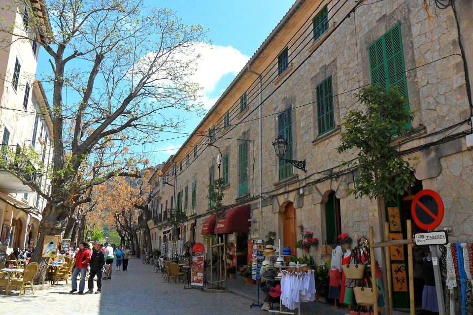 Tramuntana Panorama Tour - Soller, Deiá, Valldemossa - The Tramuntana panorama drive: why the minibus stop matters