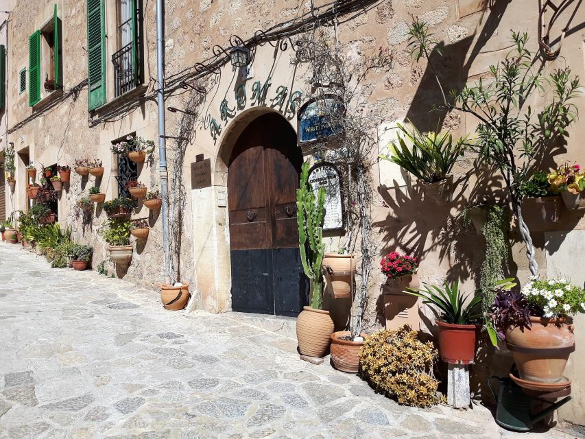 Tramuntana Panorama Tour - Soller, Deiá, Valldemossa - Price and value: is $221 per person a fair deal?