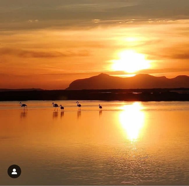 Trapani: Salt Pans Sunset Tour and Flamingo Way - Why This Trapani Sunset Salt Tour Feels Worth It