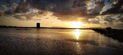 Trapani: Salt Pans Sunset Tour and Flamingo Way - Pickup, Van Ride, and the “Setup” Moments That Matter