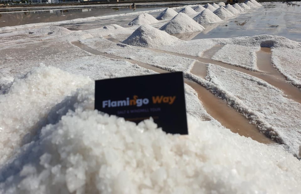 Trapani: Salt Pans Sunset Tour and Flamingo Way - Culcasi Salt Mine and the Windmill Museum: When Technology Meets Tradition