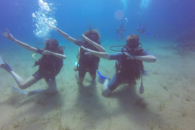 Try a DIVE, discover scuba diving in Mykonos - Logistics that matter: meeting point, pickup options, and timing
