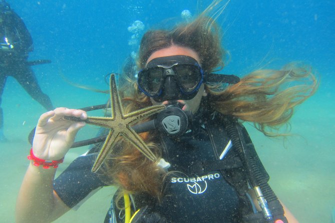 Try a DIVE, discover scuba diving in Mykonos - The 90-minute flow: theory, gear drills, then a Lia reef open-water session