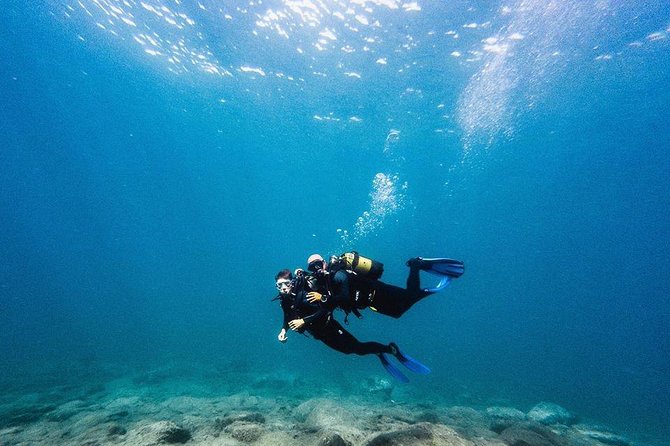 Try Dive in Tenerife - 6 key highlights that make this try-scuba worth your time