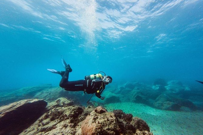 Try Dive in Tenerife - What the 3 hours actually feel like